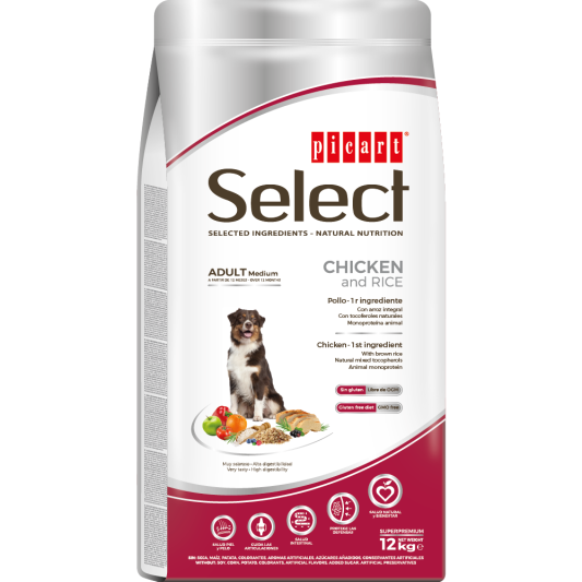 Picart Select ADULT MEDIUM Chicken and Rice