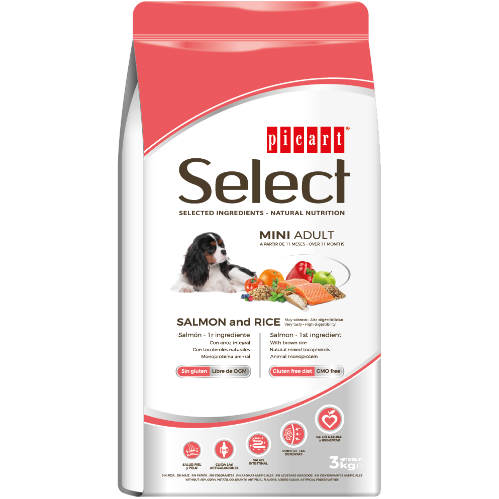 Picart Select MINI ADULT Salmon and Rice