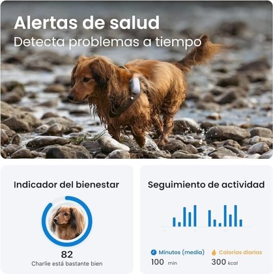 Tractive - GPS perros, Localización en tiempo real en todo el mundo, Alertas antifuga, Monitor de actividad con alertas de salud - Imagen 2